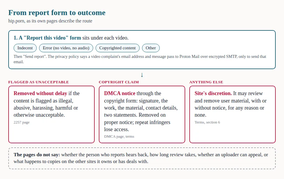 Flow diagram of hip.porn's report route: a form with four reasons leads to removal without delay, a DMCA notice, or removal at the site's discretion, plus a box of what the pages leave out.